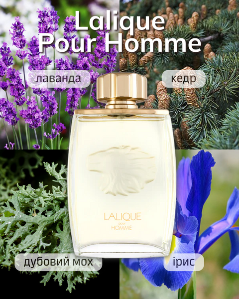 Lalique Pour Homme Lion EDP LL-HL-R-02 фото