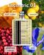 Escentric Molecules Escentric 01 EDT EM-ES-R-01 фото 3